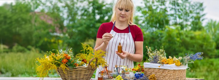 Phytotherapie Kurs im Fernstudium