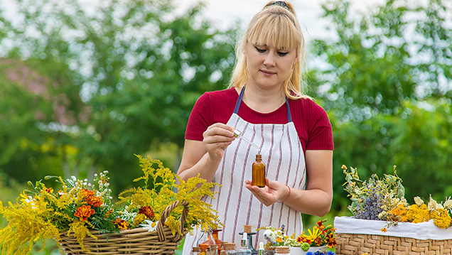 Phytotherapie - Heilpflanzen kompetent anwenden