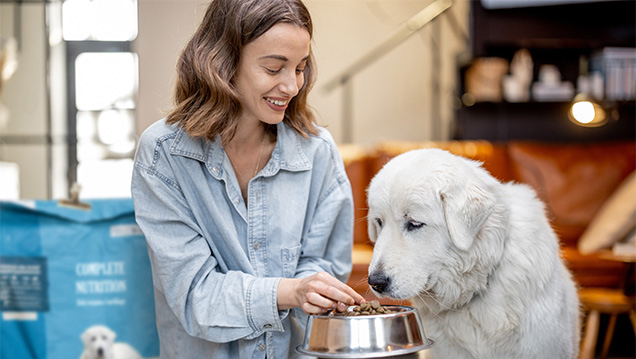 Tierernährungsberater/in (Hunde und Katzen)