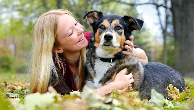 Tierpsychologie – Tierhaltung, Tierbetreuung, Tierverhaltenstherapie